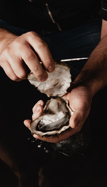 Dégustation Huître Fraîche : Chef Ouvrant un Fruit de Mer Mains d'un homme ouvrant délicatement une huître fraîchement ouverte sur un fond noir, révélant la chair nacrée.